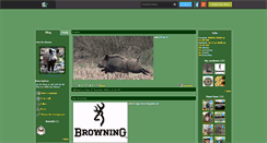 Desktop Screenshot of chasseurdu40.skyrock.com