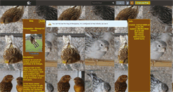 Desktop Screenshot of mongopiou.skyrock.com