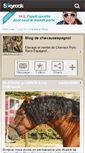 Mobile Screenshot of chevauxespagnol.skyrock.com