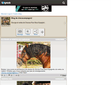 Tablet Screenshot of chevauxespagnol.skyrock.com