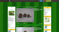Desktop Screenshot of lestortues-de-mysterio.skyrock.com