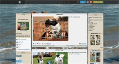 Desktop Screenshot of jackrussel1996.skyrock.com