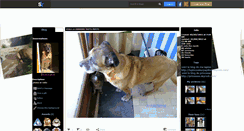 Desktop Screenshot of boxermalinoi.skyrock.com