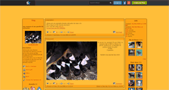 Desktop Screenshot of newbbultima62.skyrock.com