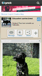 Mobile Screenshot of educationcaninebrest.skyrock.com