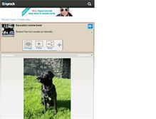 Tablet Screenshot of educationcaninebrest.skyrock.com