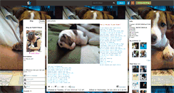 Desktop Screenshot of flashtitibout.skyrock.com