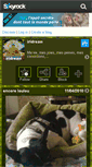 Mobile Screenshot of irldream.skyrock.com