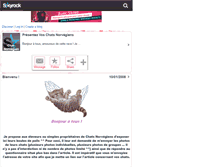 Tablet Screenshot of chat-norvegien.skyrock.com