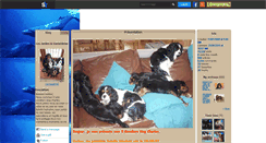 Desktop Screenshot of cachou8040.skyrock.com