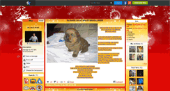 Desktop Screenshot of chowchow35340.skyrock.com