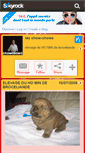 Mobile Screenshot of chowchow35340.skyrock.com