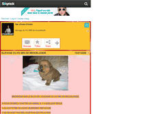 Tablet Screenshot of chowchow35340.skyrock.com