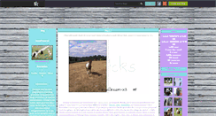 Desktop Screenshot of horsedream-x3.skyrock.com