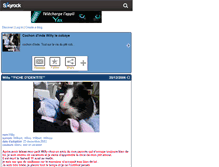 Tablet Screenshot of cobaye-willy.skyrock.com