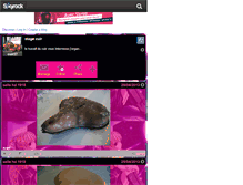 Tablet Screenshot of cuir27.skyrock.com