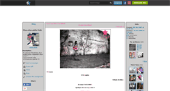 Desktop Screenshot of c0uw-ciinet.skyrock.com