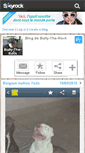 Mobile Screenshot of bully-the-rock.skyrock.com