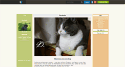 Desktop Screenshot of my-shelty.skyrock.com
