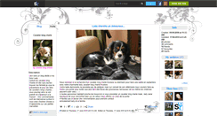 Desktop Screenshot of cavalier-king-charle.skyrock.com