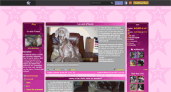 Desktop Screenshot of chien-de-chasse.skyrock.com