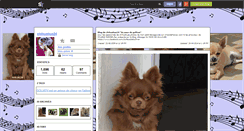 Desktop Screenshot of chihuahua24.skyrock.com