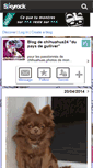 Mobile Screenshot of chihuahua24.skyrock.com