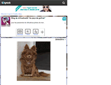 Tablet Screenshot of chihuahua24.skyrock.com