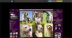 Desktop Screenshot of bullsattitude.skyrock.com