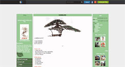 Desktop Screenshot of ma-formation-bonsai.skyrock.com