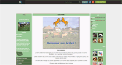 Desktop Screenshot of lesgrilles.skyrock.com