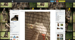 Desktop Screenshot of gandor001.skyrock.com