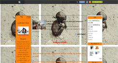 Desktop Screenshot of lafaimdanslemonde.skyrock.com