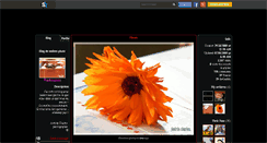Desktop Screenshot of andrea-photo.skyrock.com