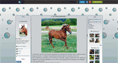 Desktop Screenshot of cheval--arabe.skyrock.com