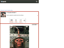 Tablet Screenshot of animal-cruelty.skyrock.com