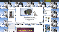 Desktop Screenshot of husky-siberien626.skyrock.com