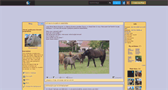 Desktop Screenshot of chevalina25.skyrock.com