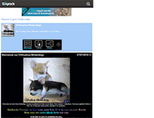 Tablet Screenshot of chihuahua-nintendogs.skyrock.com