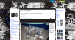 Desktop Screenshot of militaire-passion.skyrock.com