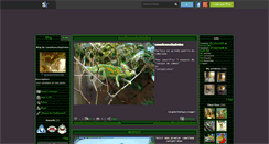 Desktop Screenshot of cameleoncalyptratus.skyrock.com