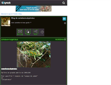 Tablet Screenshot of cameleoncalyptratus.skyrock.com