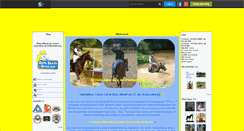 Desktop Screenshot of c-equestre-chato.skyrock.com