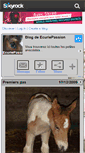 Mobile Screenshot of ecuriepassion.skyrock.com