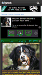 Mobile Screenshot of bouvierbernois07.skyrock.com