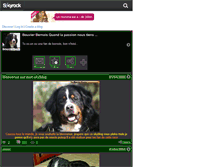 Tablet Screenshot of bouvierbernois07.skyrock.com