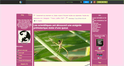 Desktop Screenshot of chatographe.skyrock.com