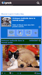 Mobile Screenshot of animauxtorturedumonde.skyrock.com