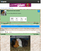 Tablet Screenshot of caramel-mon-chon.skyrock.com