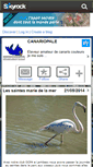 Mobile Screenshot of canariopale.skyrock.com